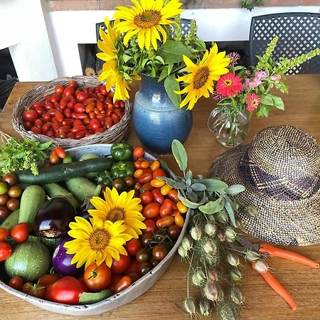 Marano sul Panaro Agriturismo Podere Prasiano מראה חיצוני תמונה