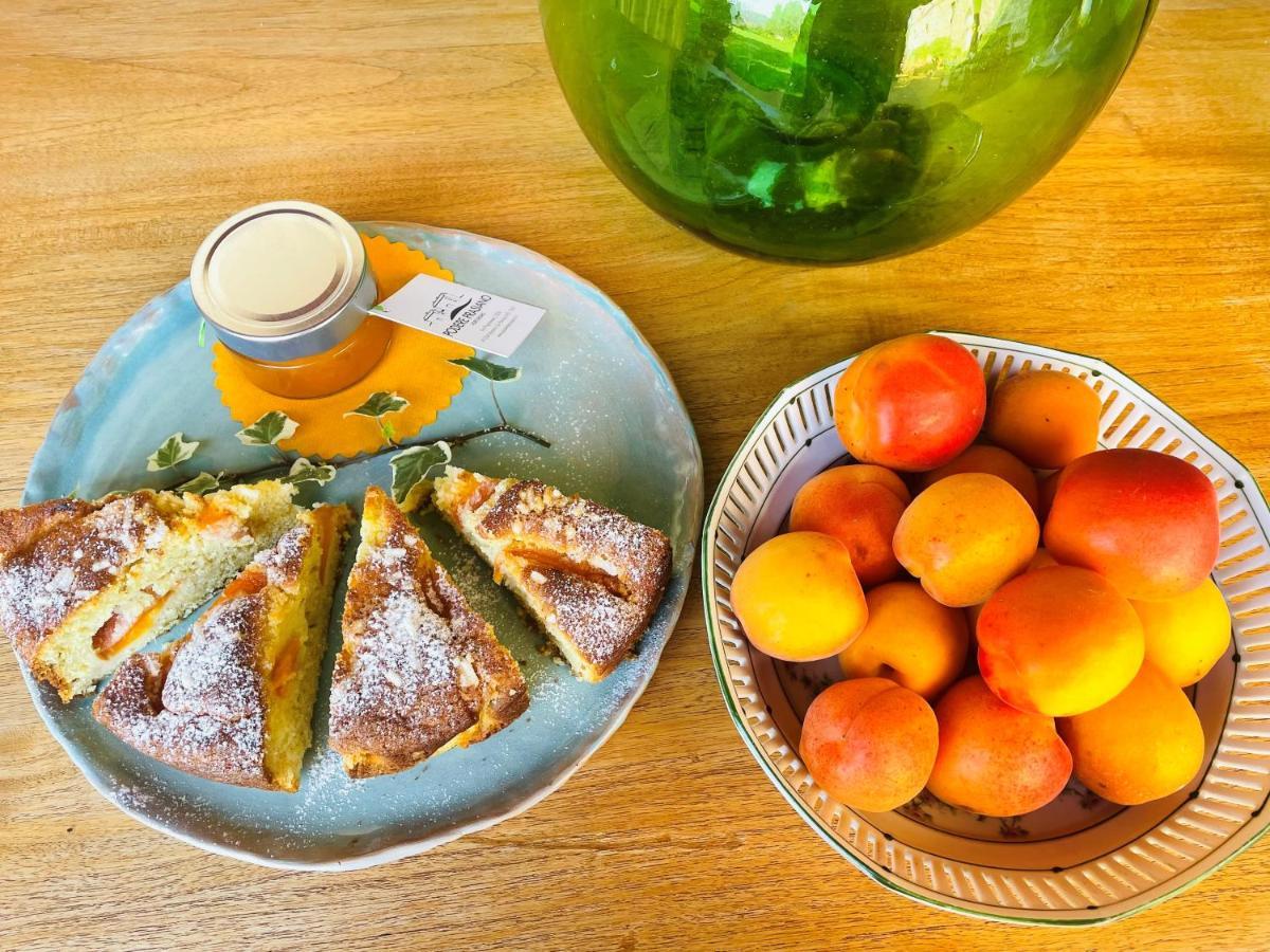 Marano sul Panaro Agriturismo Podere Prasiano מראה חיצוני תמונה