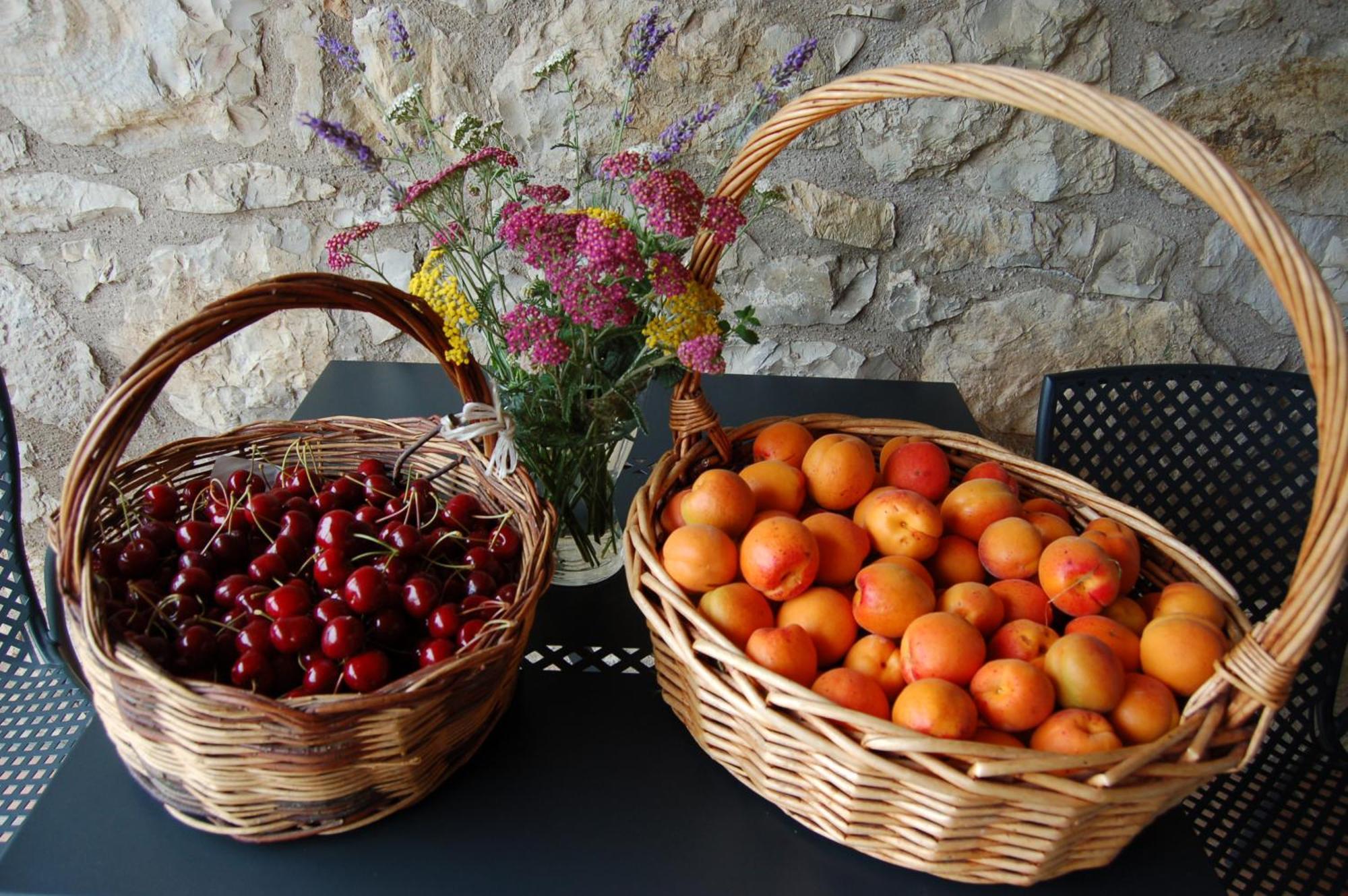 Marano sul Panaro Agriturismo Podere Prasiano מראה חיצוני תמונה
