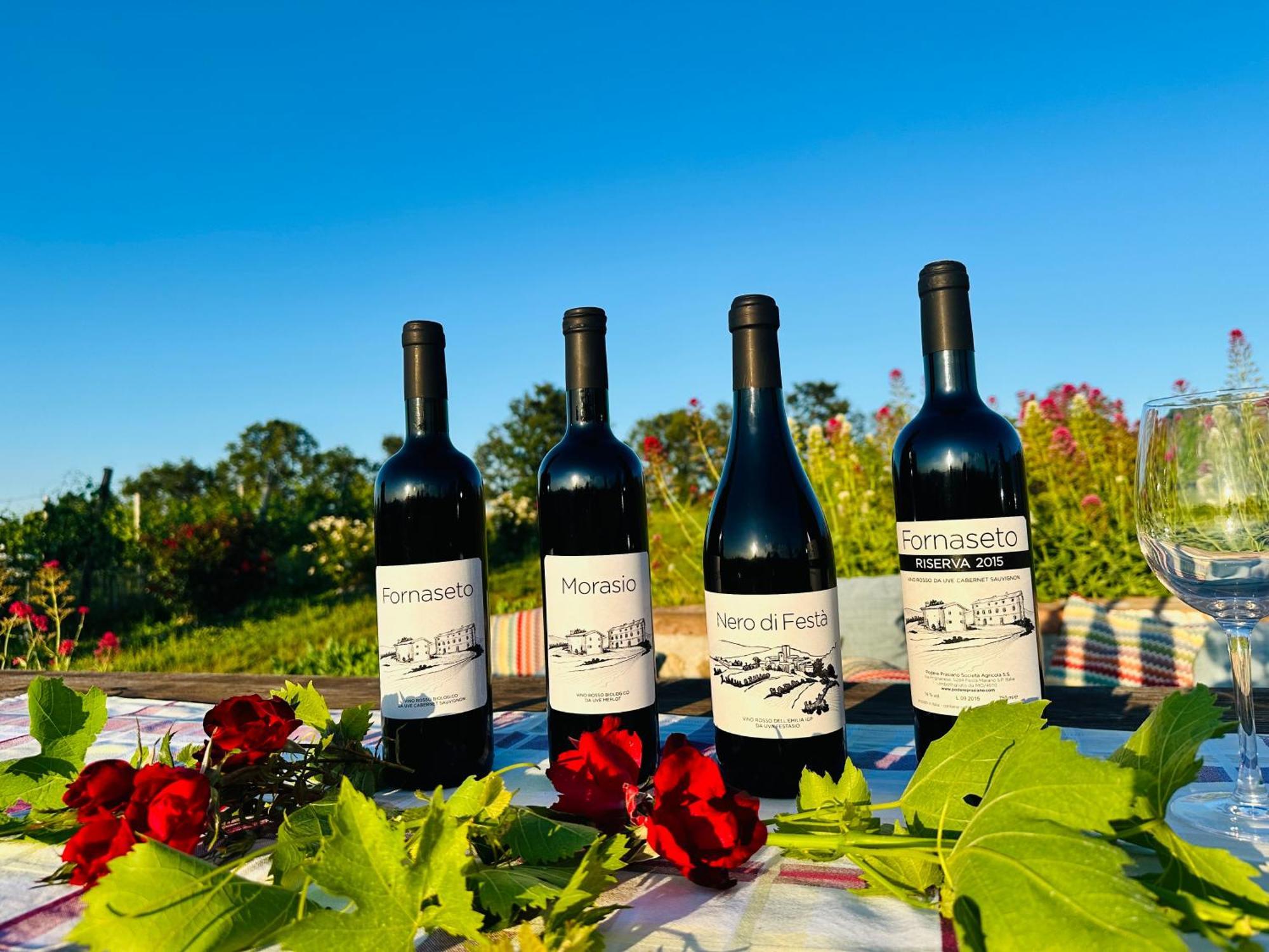 Marano sul Panaro Agriturismo Podere Prasiano מראה חיצוני תמונה