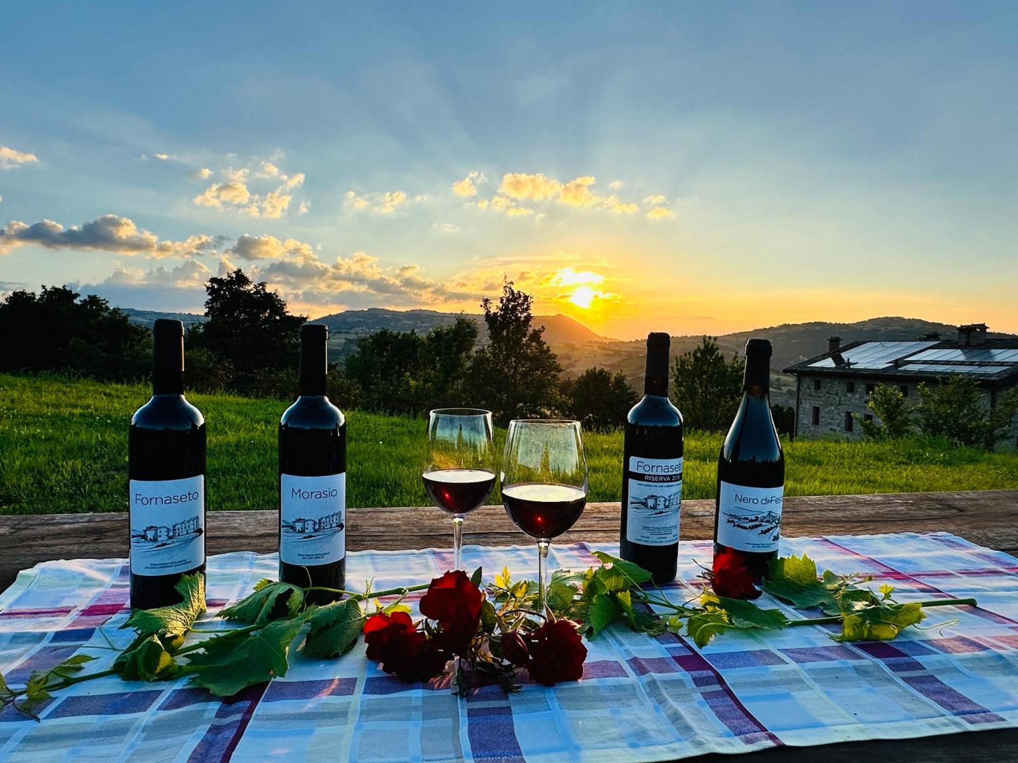 Marano sul Panaro Agriturismo Podere Prasiano מראה חיצוני תמונה