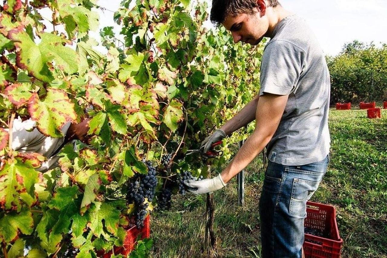 Marano sul Panaro Agriturismo Podere Prasiano מראה חיצוני תמונה