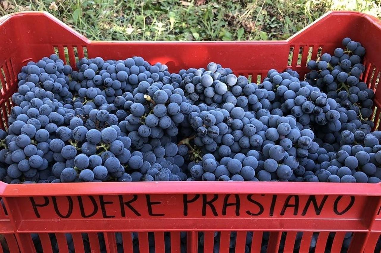 Marano sul Panaro Agriturismo Podere Prasiano מראה חיצוני תמונה