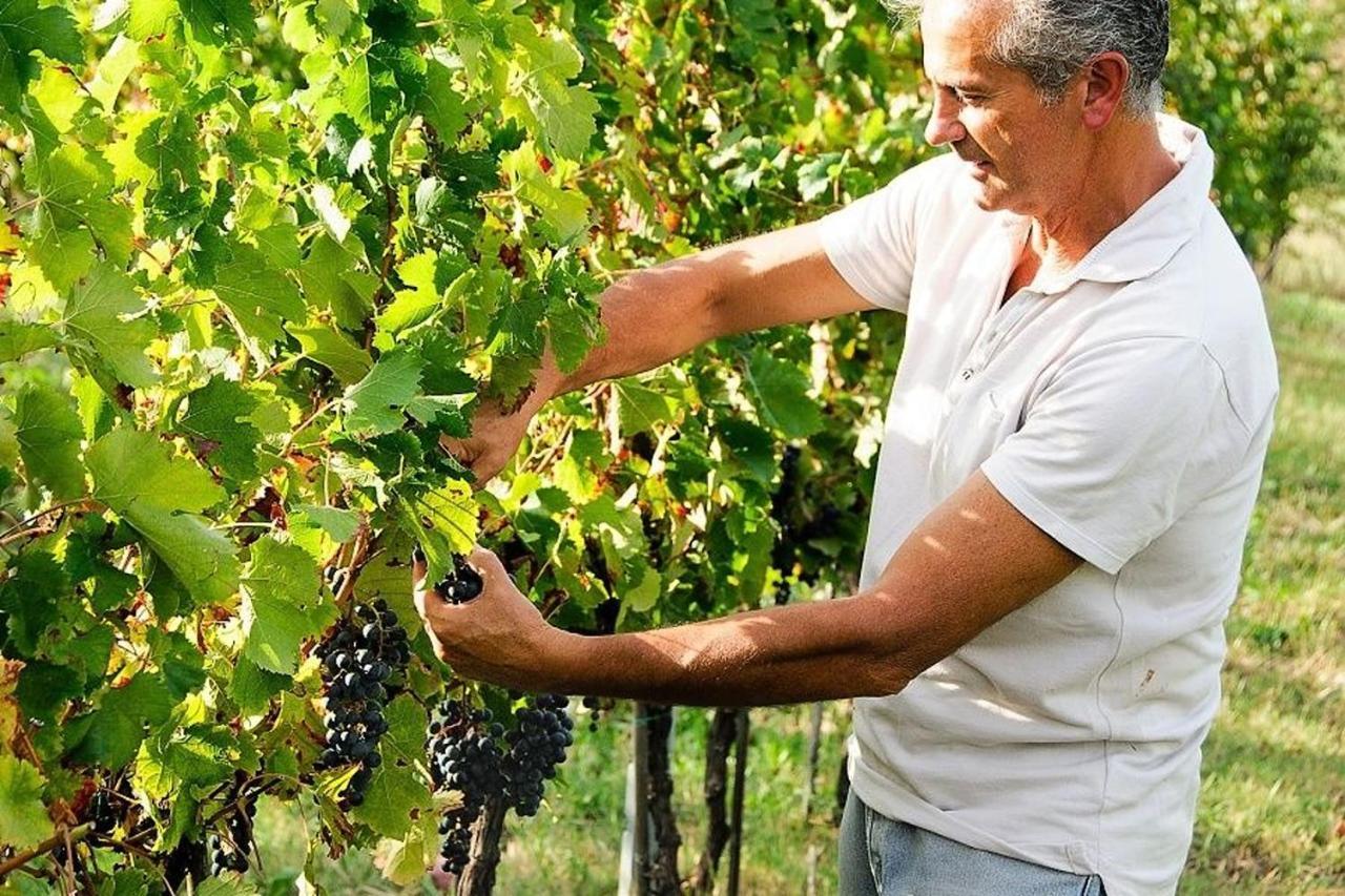 Marano sul Panaro Agriturismo Podere Prasiano מראה חיצוני תמונה